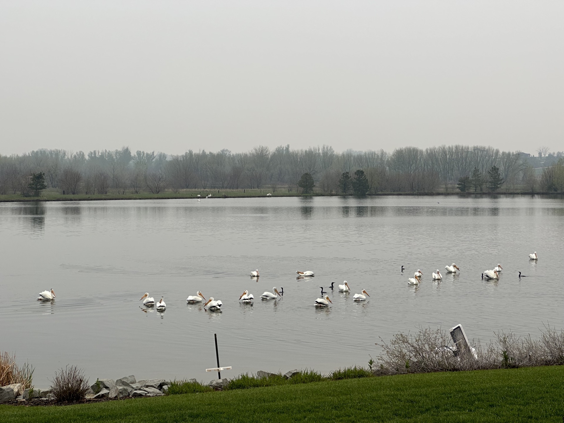 View of the community from the lake's edge